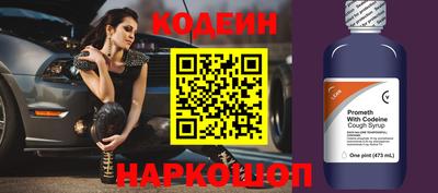мдпв Камышлов