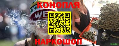 стафф Кандалакша