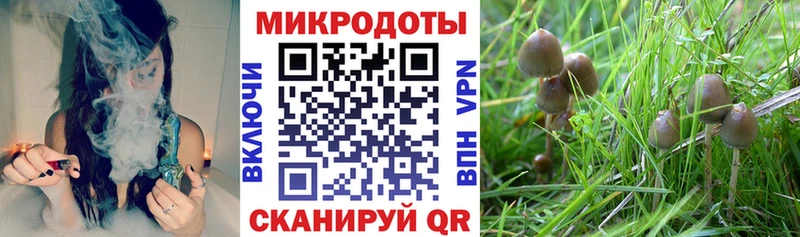 Псилоцибиновые грибы ЛСД  Нарткала 