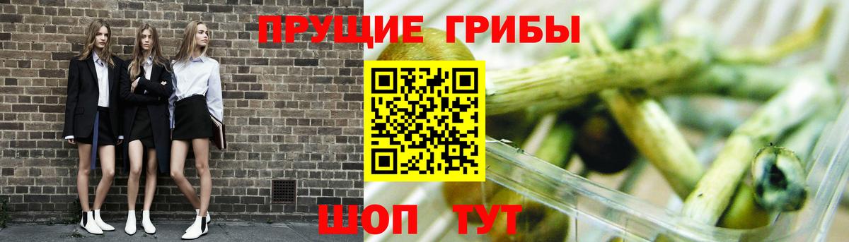 Галлюциногенные грибы Magic Shrooms  Псилоцибиновые грибы ЛСД  Вход с VPN  купить закладку  Нарткала 